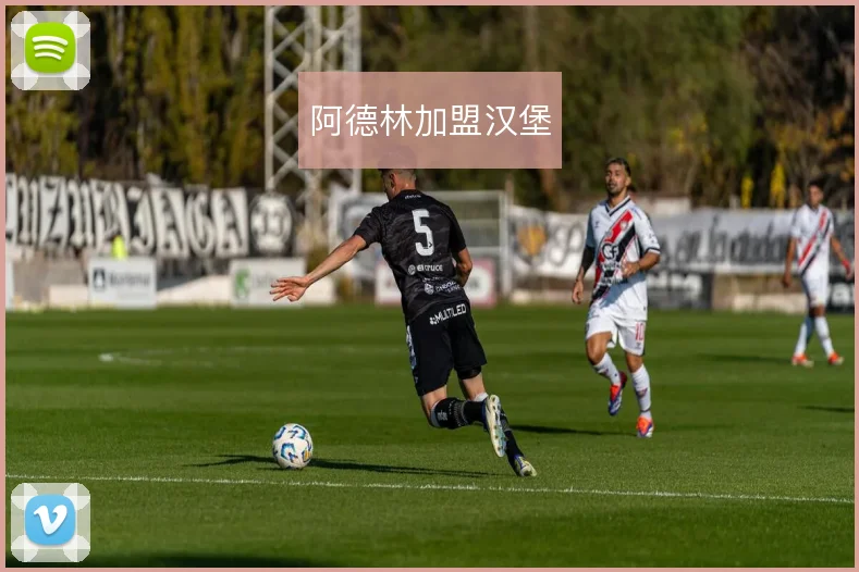 阿德林加盟汉堡